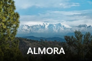 Almora-transrentals
