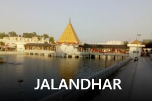 Jalandhar-transrentals