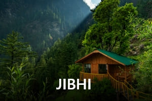 Jibhi-transrentals