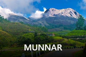Munnar-Transrentals