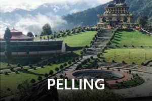Pelling-transrentals