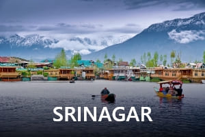 Srinagar-Transrentals