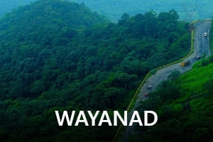 Wayanad-Transrentals