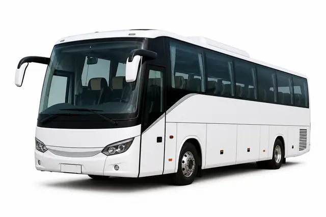 Buses